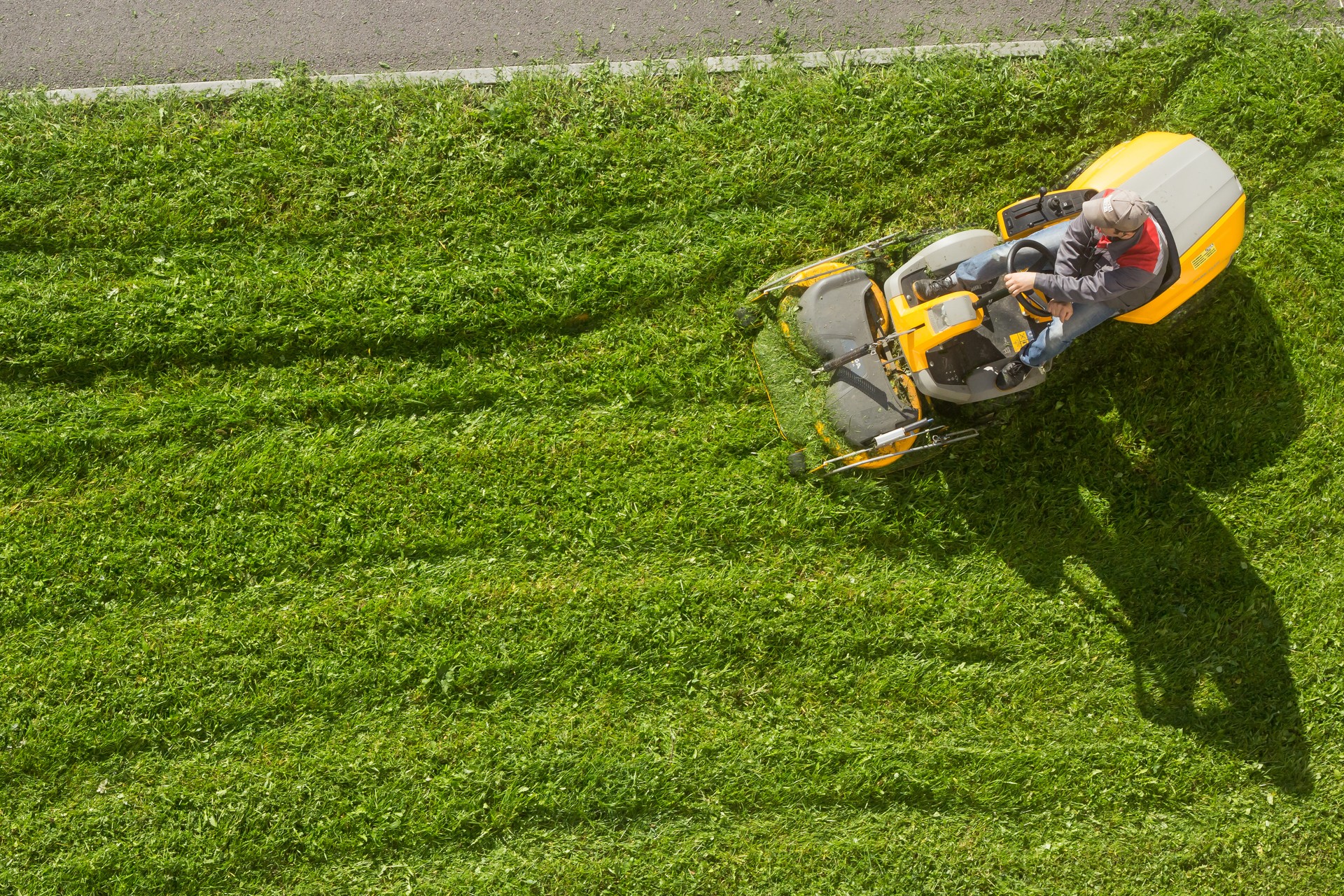 Russia Peterhof 14.09.2020.man in a work uniform mows lawn with a Garden Rider